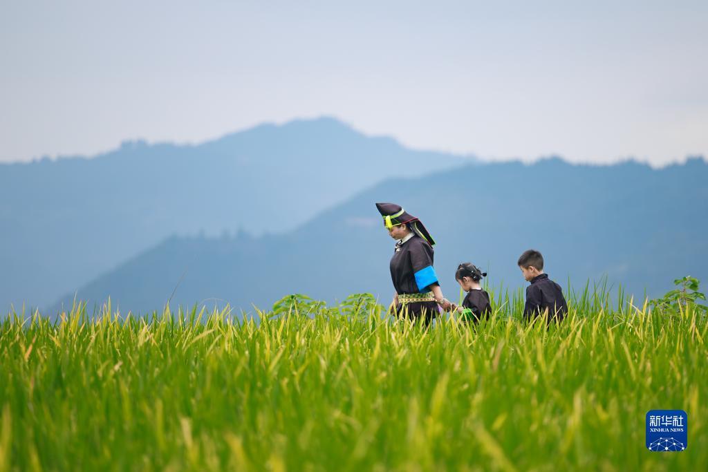 开户注册白菜大全
